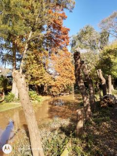 Cabañas Aqui y Ahora - Tigre - 4