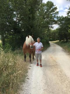 B&B et Gite d'ayran - Saint-Quentin-la-Poterie - 5