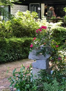 Linden-Jachthoorn - Lubbeek - 3