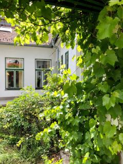 Sonnhof Ressl - Klosterneuburg - 1