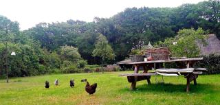 Bed & Breakfast Markelo - 8