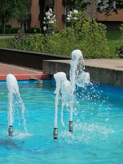 CrisAnd Wald &Terrasse - 3