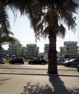 Residence Seaside - Tortoreto Lido - 2