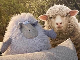 Le Mouton à 5 Pattes Aubagne-Cassis-Aix en Provence - Aubagne - 9