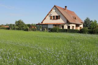 Chambre D'hotes Le Clos Fleuri - 5