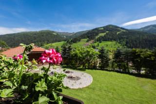 Biochalet Märkl - Bad Kleinkirchheim - 6