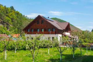 LIVADA AMELY - Galeş - 0