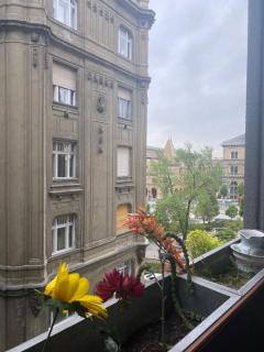 Butterfly Home Danube - 5