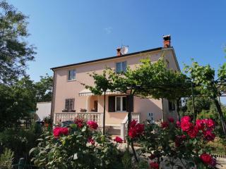 House Mario near Rovinj - Kanfanar - 5