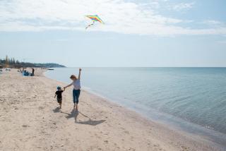 Berizka Park Hotel - Kobleve - 0
