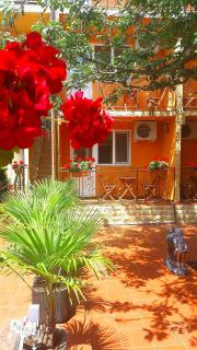 Vila Floarea Etiquette - Costinesti - 7