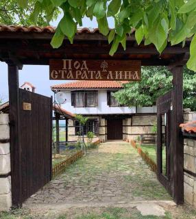 Под старата липа - Goritsa - 9