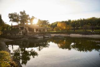 Finca El Cortiñal - Valencia de Alcántara - 0