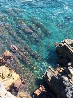 Romantic Sea View Flat in Genova - Gênes - 5