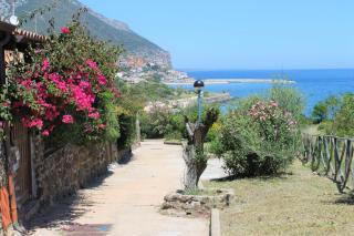 Casa Tramontana vicinissima alla spiaggia IUNQ0112 - Cala Gonone - 7