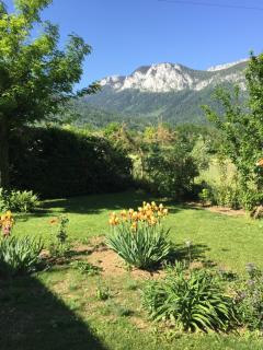 Lac d'Annecy - Doussard - 8