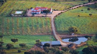 Herdade Dos Barros - Terena - 8