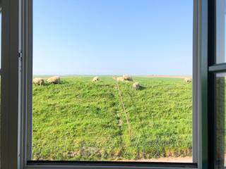 Haus Käthe am Deich - 7