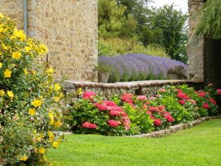 Chambres d'Hôtes Les Chaufourniers - 8