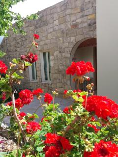 Villa Koumneni - Pano Akourdalia - 8