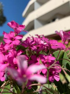 Eurobeach Residence - 5