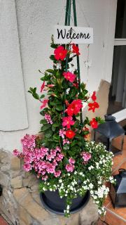 Munkácsy Apartmanok - Balatonfenyves - 5