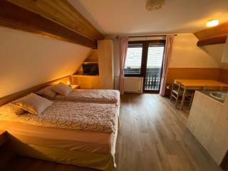 Hiša Planšar Bohinj accommodations - 3