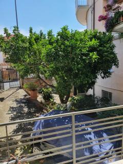 Casa Gemma piano terra - Diano Marina - 5
