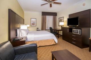 Holiday Inn Express Hotel & Suites Houston North Intercontinental by IHG - Houston - 0