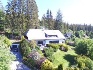 Schwarzwald-Villa mit Indoor-Pool - Feldberg - 0