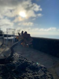 Los Torres II - Fuencaliente de la Palma - 3