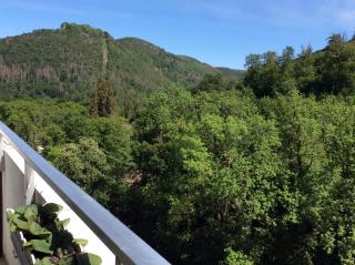 Relax im Wald - Bad Harzburg - 0