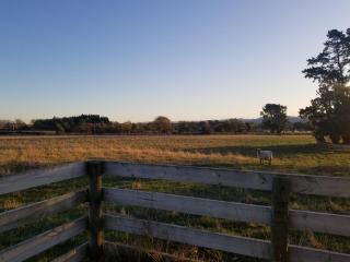 Waihakeke Cottage - Carterton - 9