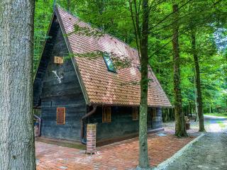 Moslavačka Priča Holiday Homes - Mala Ludina - 9