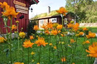 Rondane River Lodge - Rondane Gjestegård - Enden - 6