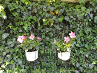 Gasthof Reiterstuben - 3