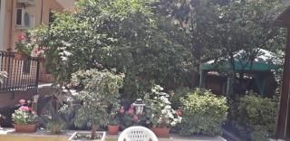 Gioia Guest House - Roma - 4