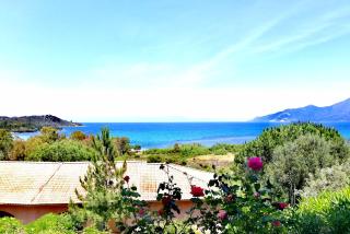 Residence Suarella - Saint-Florent - 5