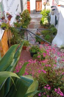 MIRADOR DEL VALLE - Vélez de Benaudalla - 8