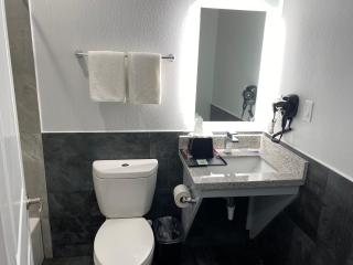 Palace Inn Crosby - Crosby - 8