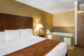 Comfort Suites Linn County Fairground and Expo - Albany - 9