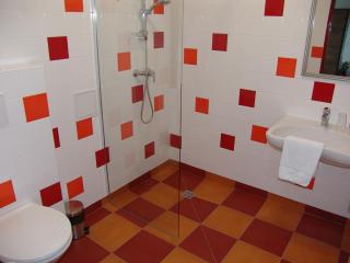 Retro hotel Pod Zvičinou - 7