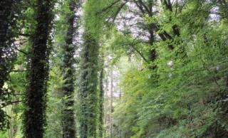 Gîte de La Ville Bresset - 4