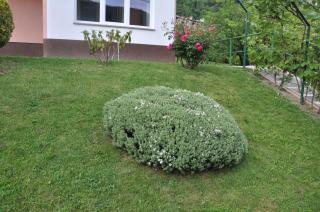 Rezidenca Ervin - Jesenice - 7