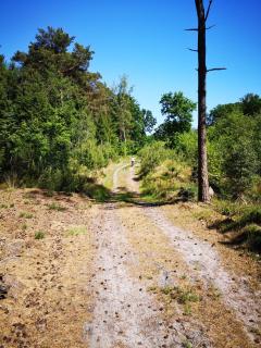 Lüttje Heide-Huus - Soltau - 3