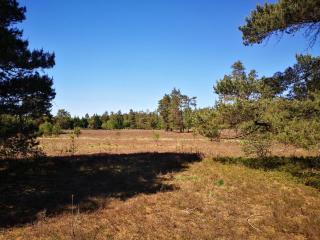 Lüttje Heide-Huus - Soltau - 4