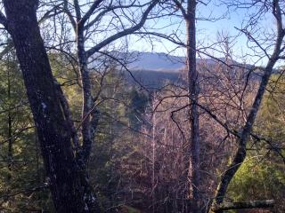 Log Inn, 5 bed 3 bath group cabin in Gatlinburg with game room and hot tub, seasonal resort pool - Gatlinburg - 2