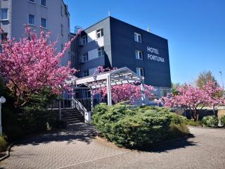 Hotel Fortuna Reutlingen-Tübingen - Reutlingen - 7