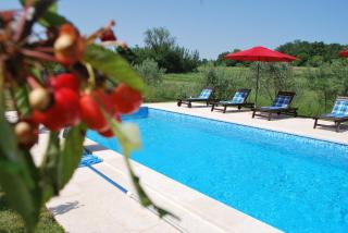 Villa Dorina - Barban - 2