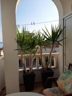 Apartmani Smiljana - 1